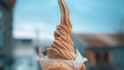 Adam's Ice Cream & Books