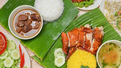Nasi Ayam Yunan Mat Rafi