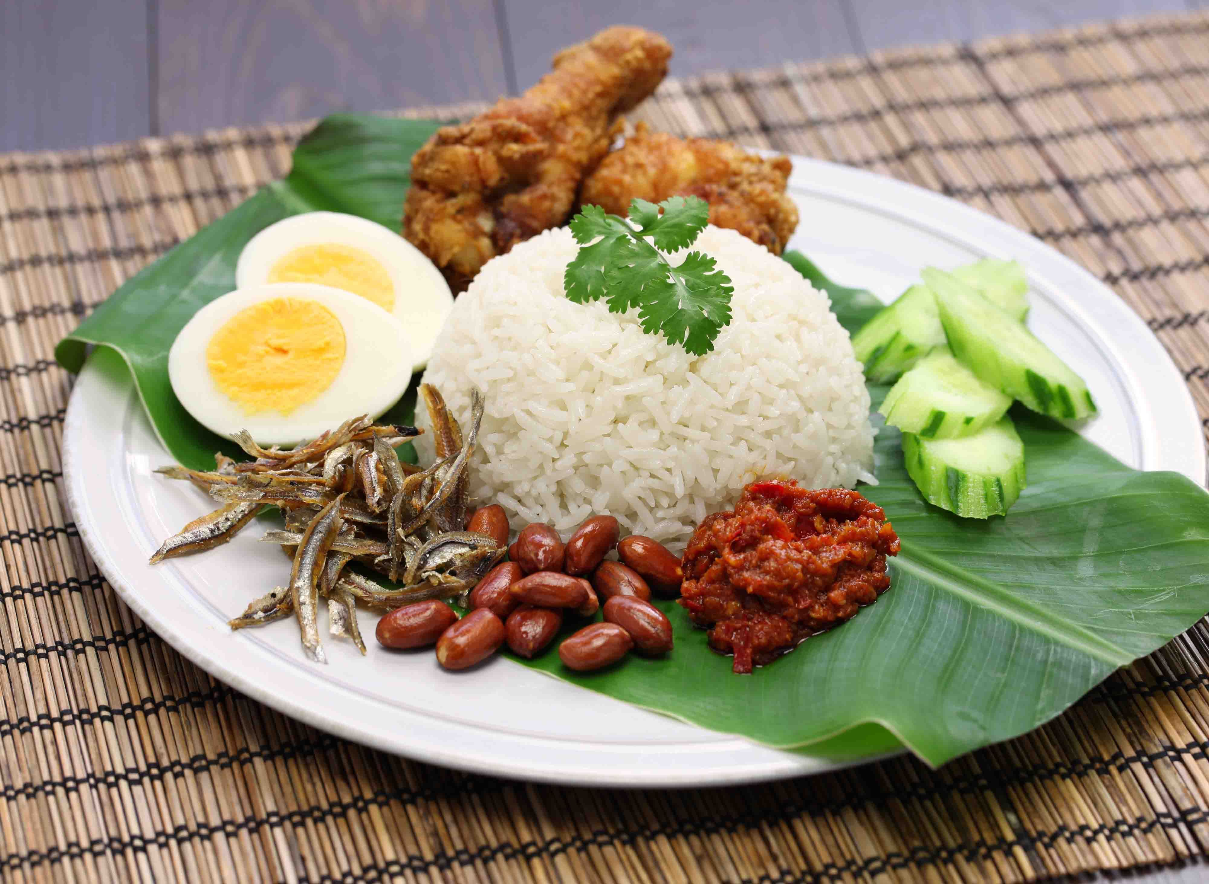 Lemak wild boar nasi Best Nasi