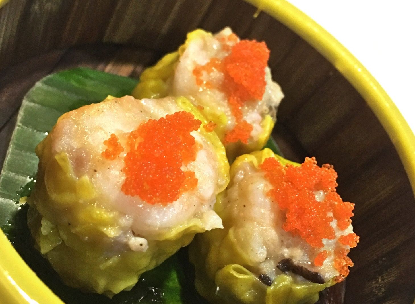 occean dim sum philadelphia occean dim sum philadelphia