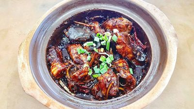 Catfish King 新好運泥鳅王 (Austin Crest)