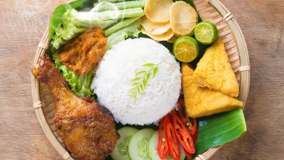 GOBAK SODOR BAKSO AYAM PENYET