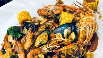 Shell Out Viral Dungun