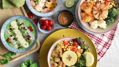 Idealite Healthy Vegetarian (E-gate)