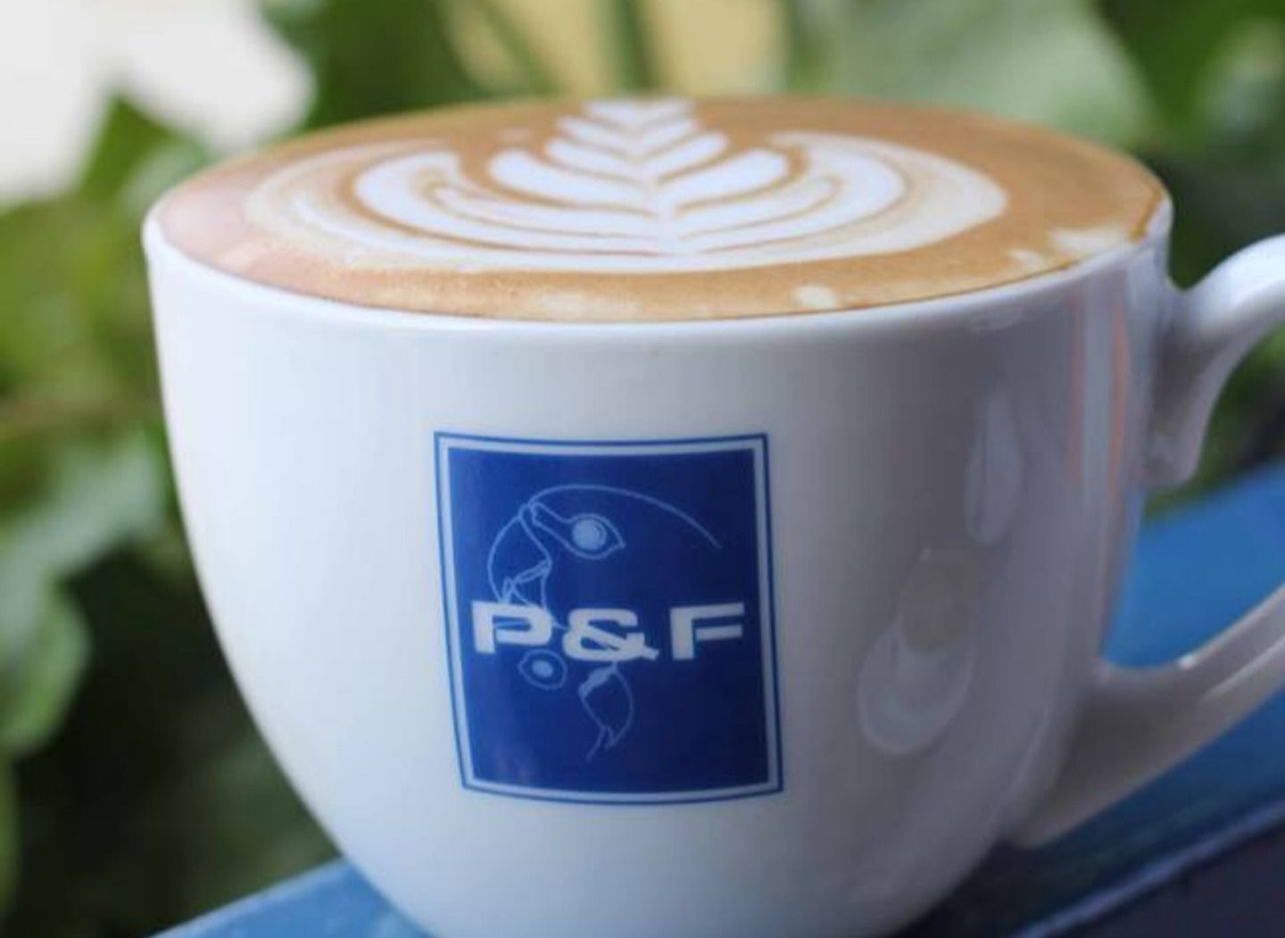 Parrot Espresso Cafe vendor logo