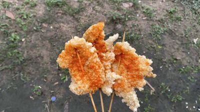 Chicki Chicken & Squid