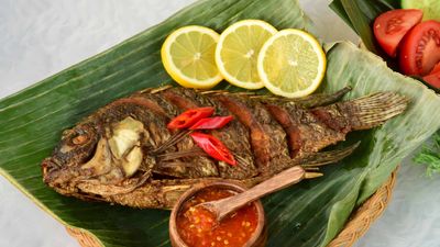 Adra Sara Tomyam