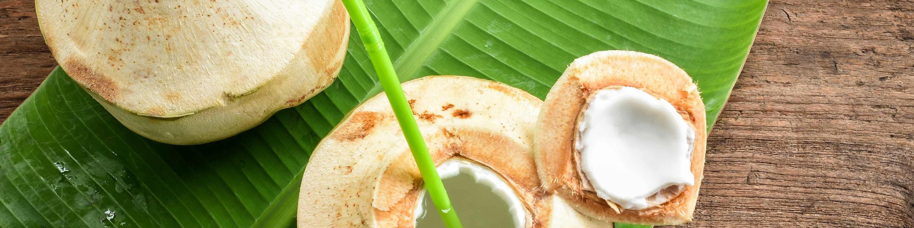 The Coconut House Food Delivery From Foodpanda