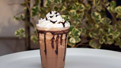Plato Coffee (Medini 7)