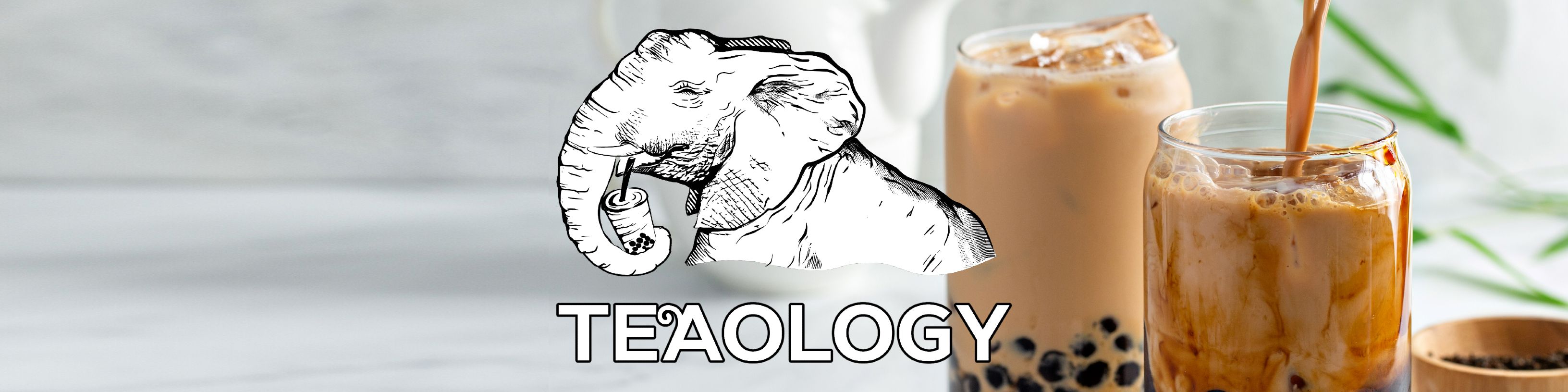 TeaOlogy Sandvika Storsenter vendor logo