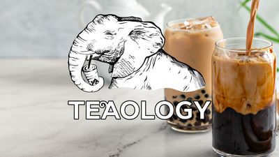 Teaology Trondheim Torg