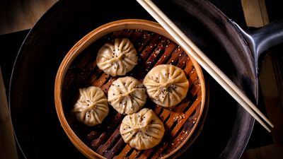 Duck & Dumplings