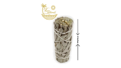 Faiza Naturals White Sage | 10Cm