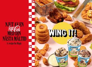 Wing it! Medborgarplatsen