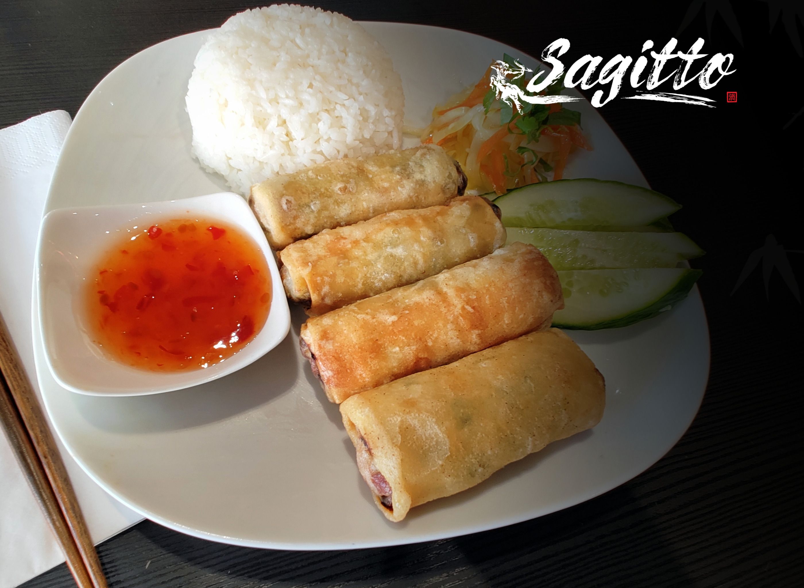 Sagitto vendor logo