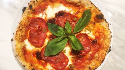 Cicciotto