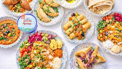 MEZ - Libanesisk Streetfood & Meze