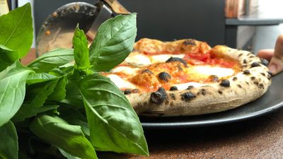 Bar Vinci