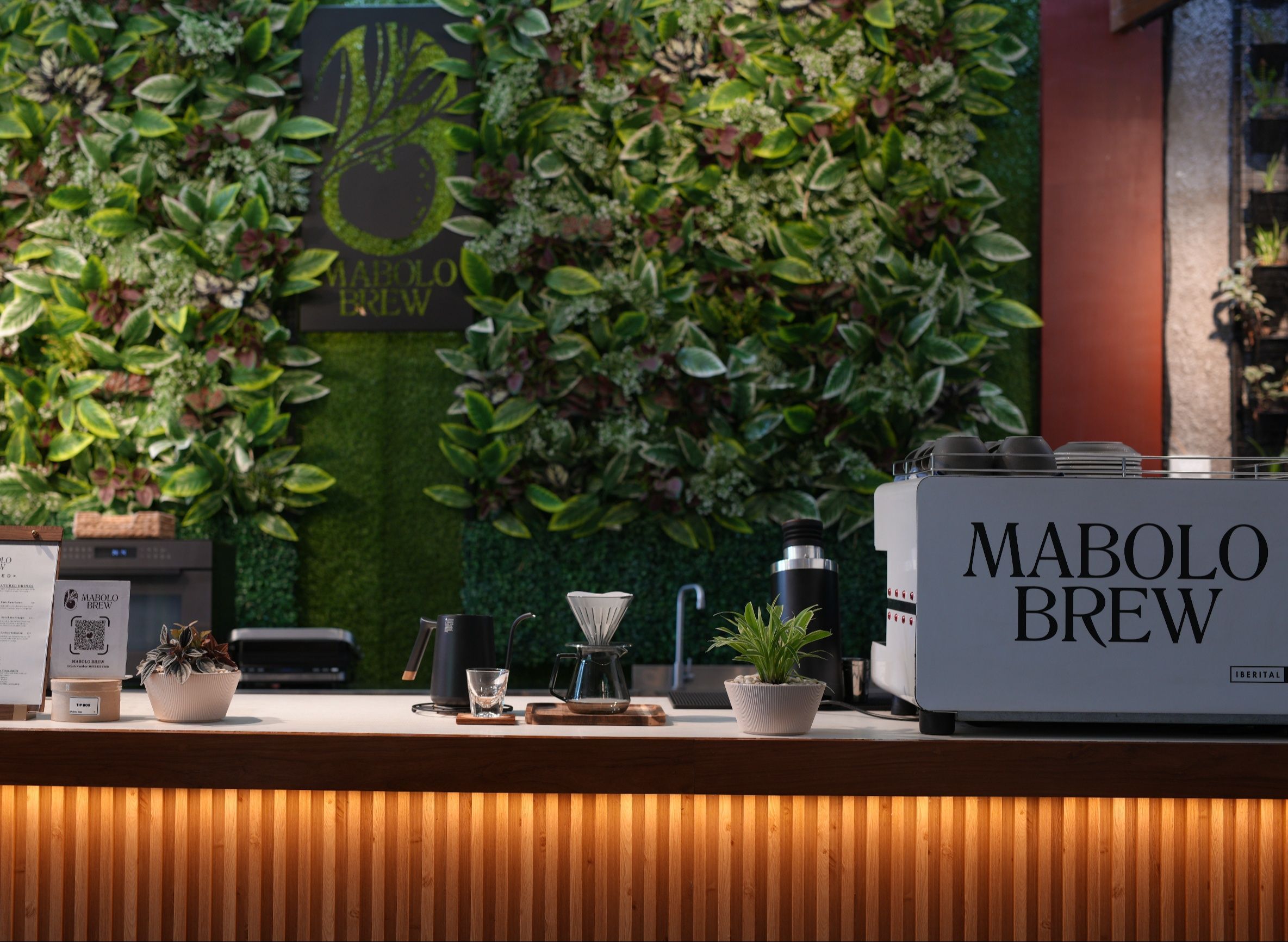 Mabolo Brew vendor logo