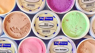 Ice Cream Scooper - España Boulevard