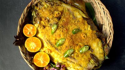 Fish2Go - Mendez
