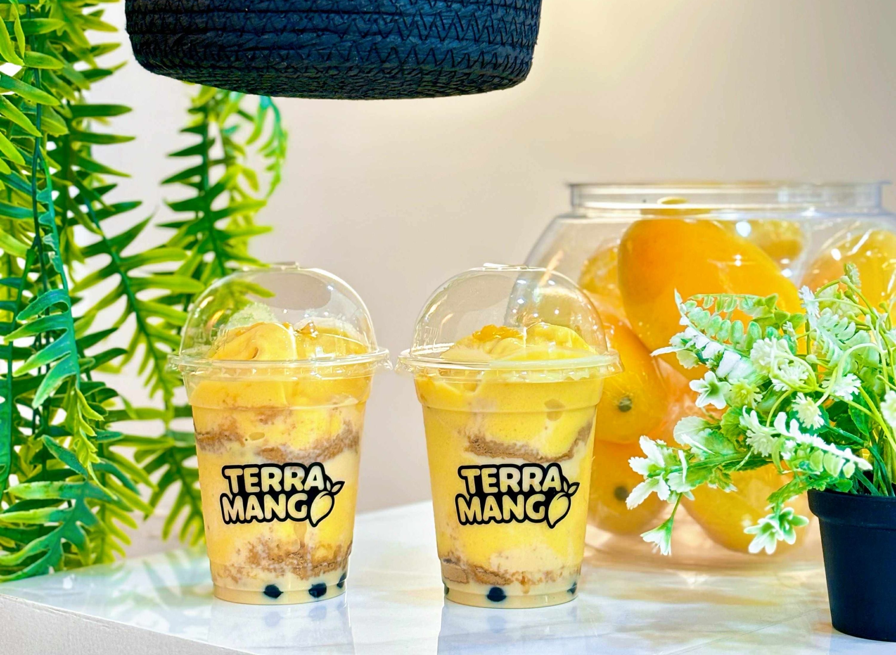 Terra Mango - Indangan vendor logo