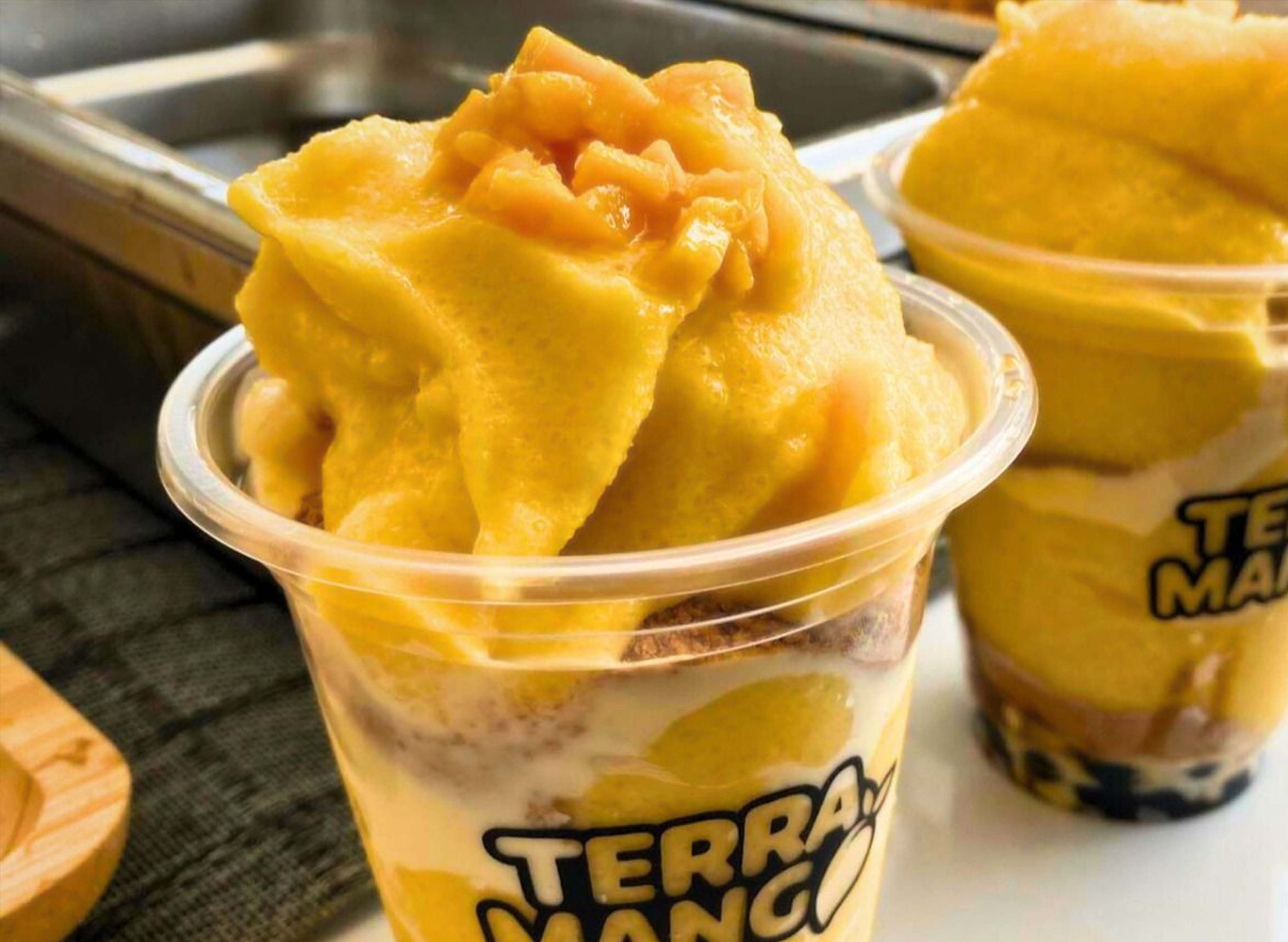 Terra Mango -  Terminal Panabo vendor logo