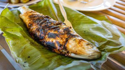 Ciano's Pares Overload - Imadejas