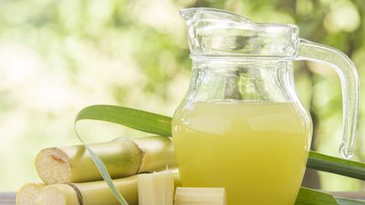 Sugarcane & Beyond - SM City Baguio