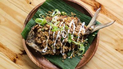 Mr Dagupeño: House of Bangus - Dolores, Mabalacat