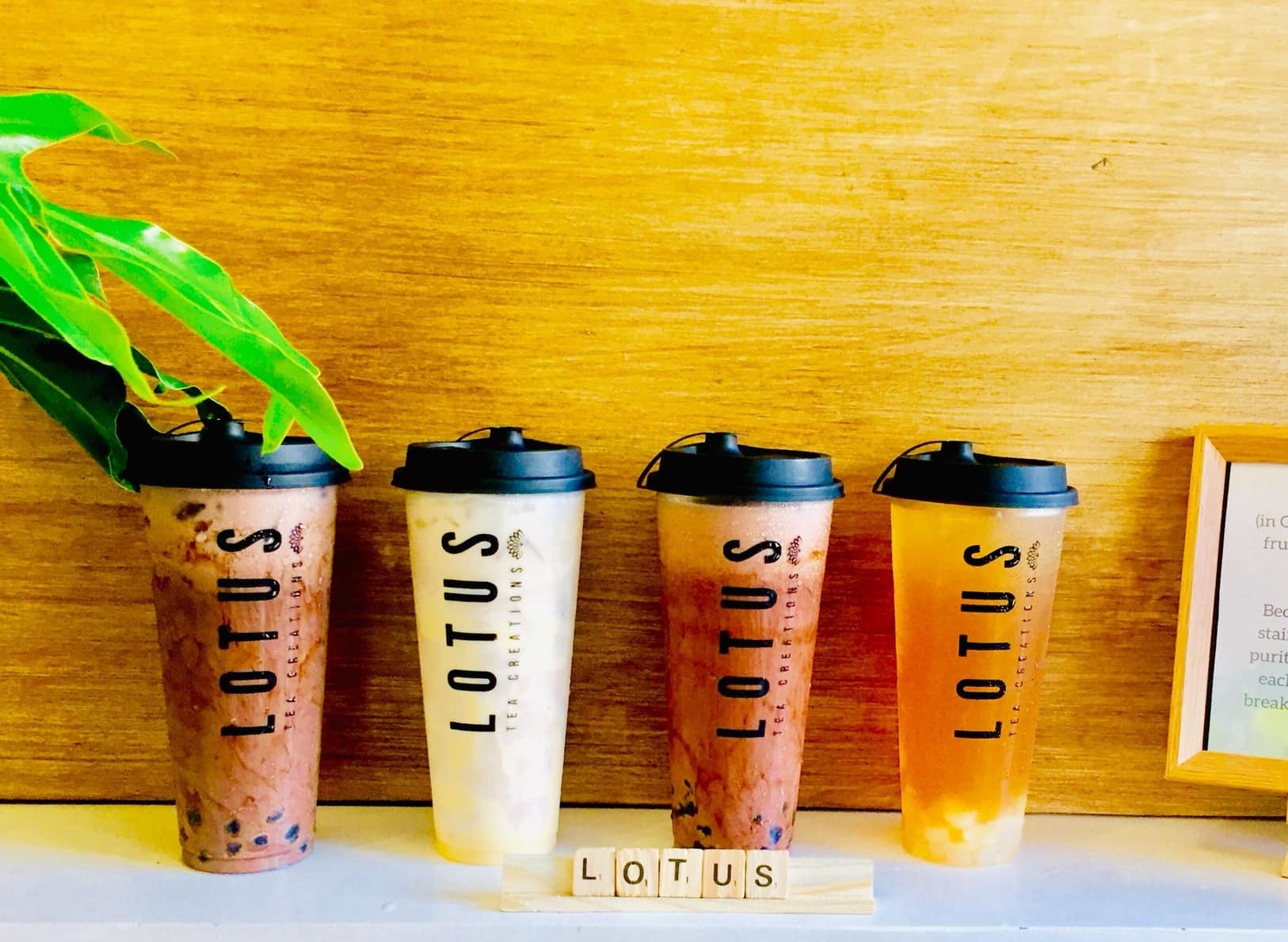 Lotus Tea & Coffee Canda delivery in Olongapo Zambales Food Delivery