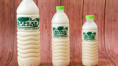 Buko Island - Robinsons North