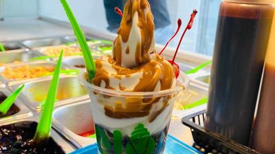 Hielo Froyo Cafe - South Park Center