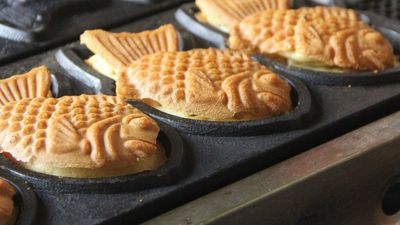 Waffle Street - Upper Session Road