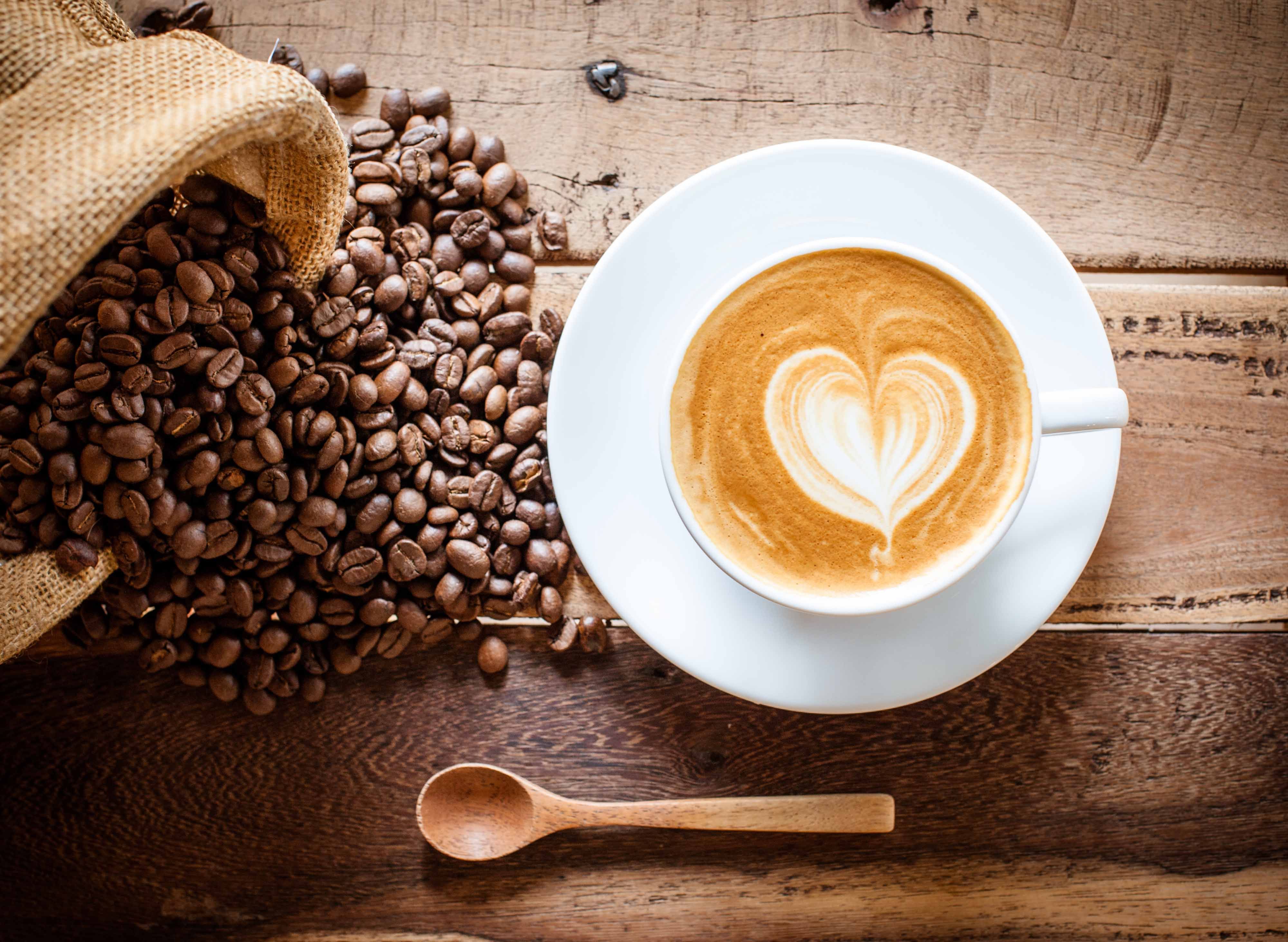 Coffea Arabica - Molino III vendor logo