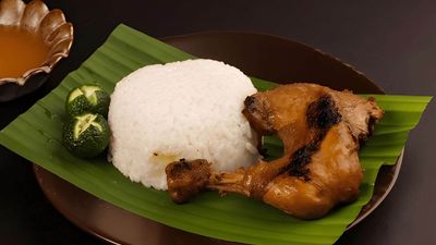 Hidden Inasal