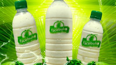 Newgen Facebuko & Fruit Shakes - Rey Marketing Compound
