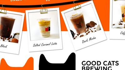 Good Cats Brewing