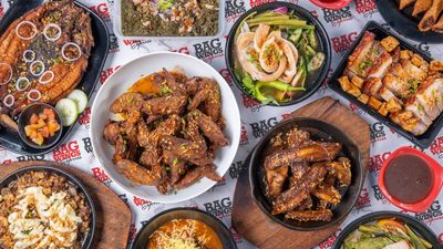 Bagwings - McKinley