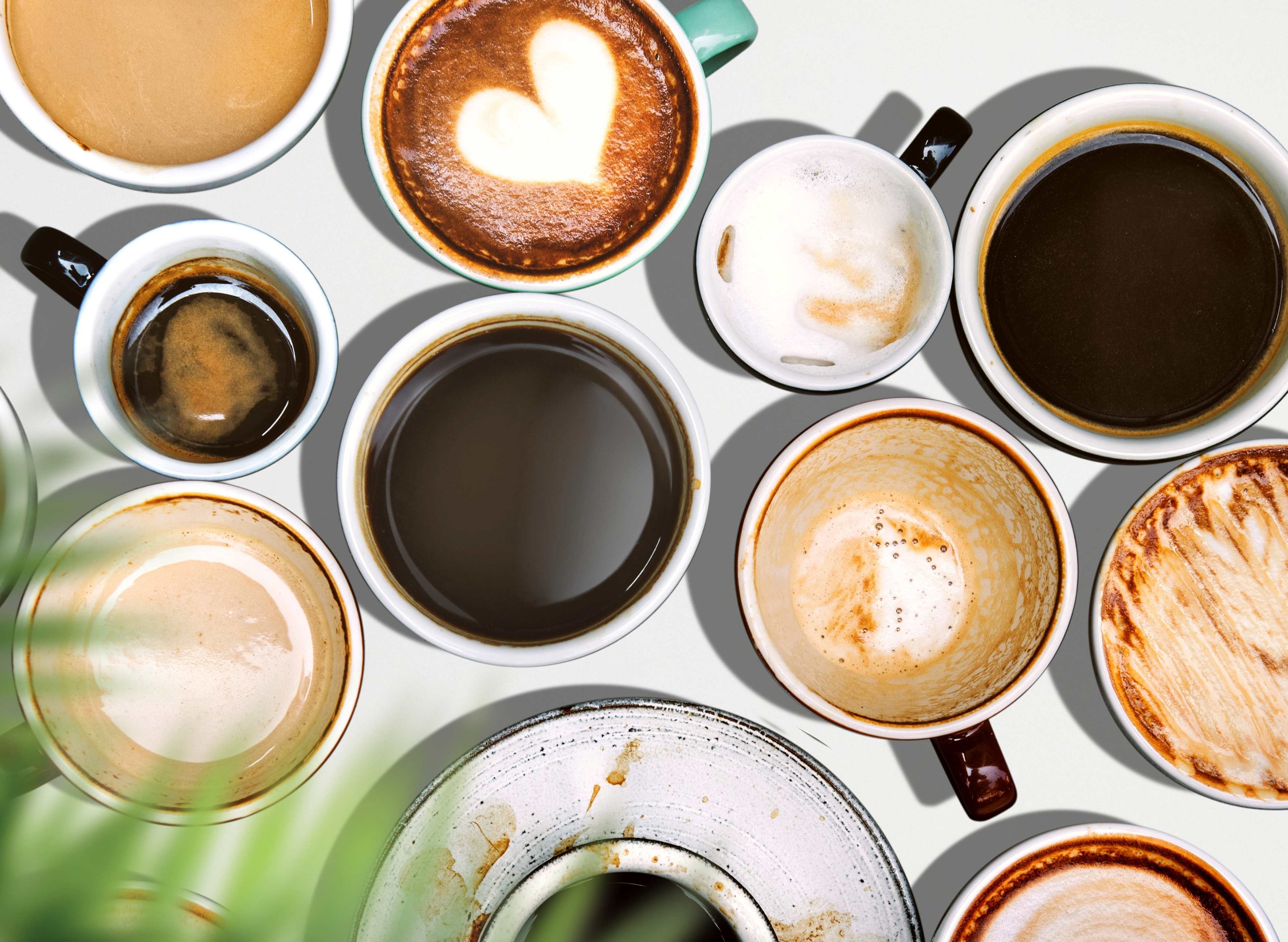 Amato Home and Cafe - ICM vendor logo