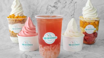 18 Degrees Frozen Yogurt - Verve Point Building