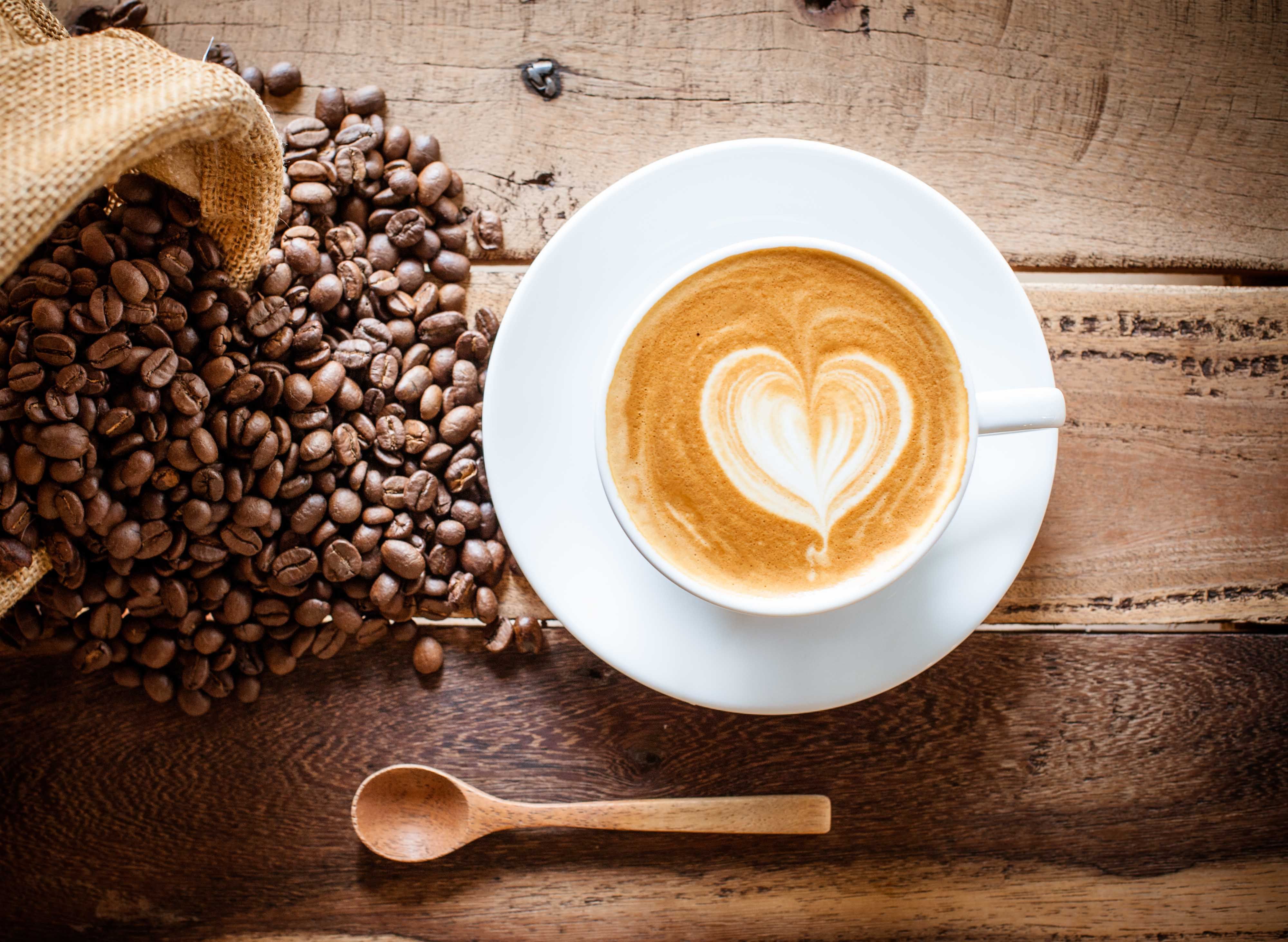 Capu Coffee - Cebu vendor logo