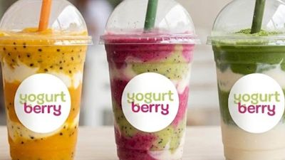 Yogurt Berry - Mexico