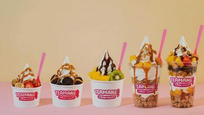TeaMango Plus Frozen Yogurt - Panghulo Malabon