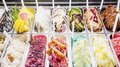 Wild Gelato & Crepe House - Alona Beach Road