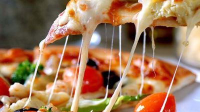 Pizzacology - New Era