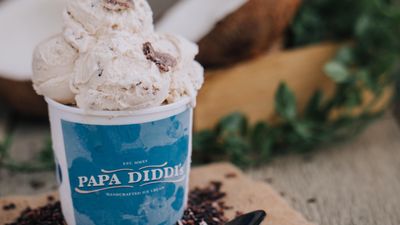 Papa Diddi's Handcrafted Ice Cream - Laza Food Plaza Makati