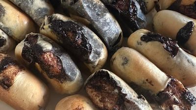 Mix N' Bake Cakes And Pastries-  New Pandan