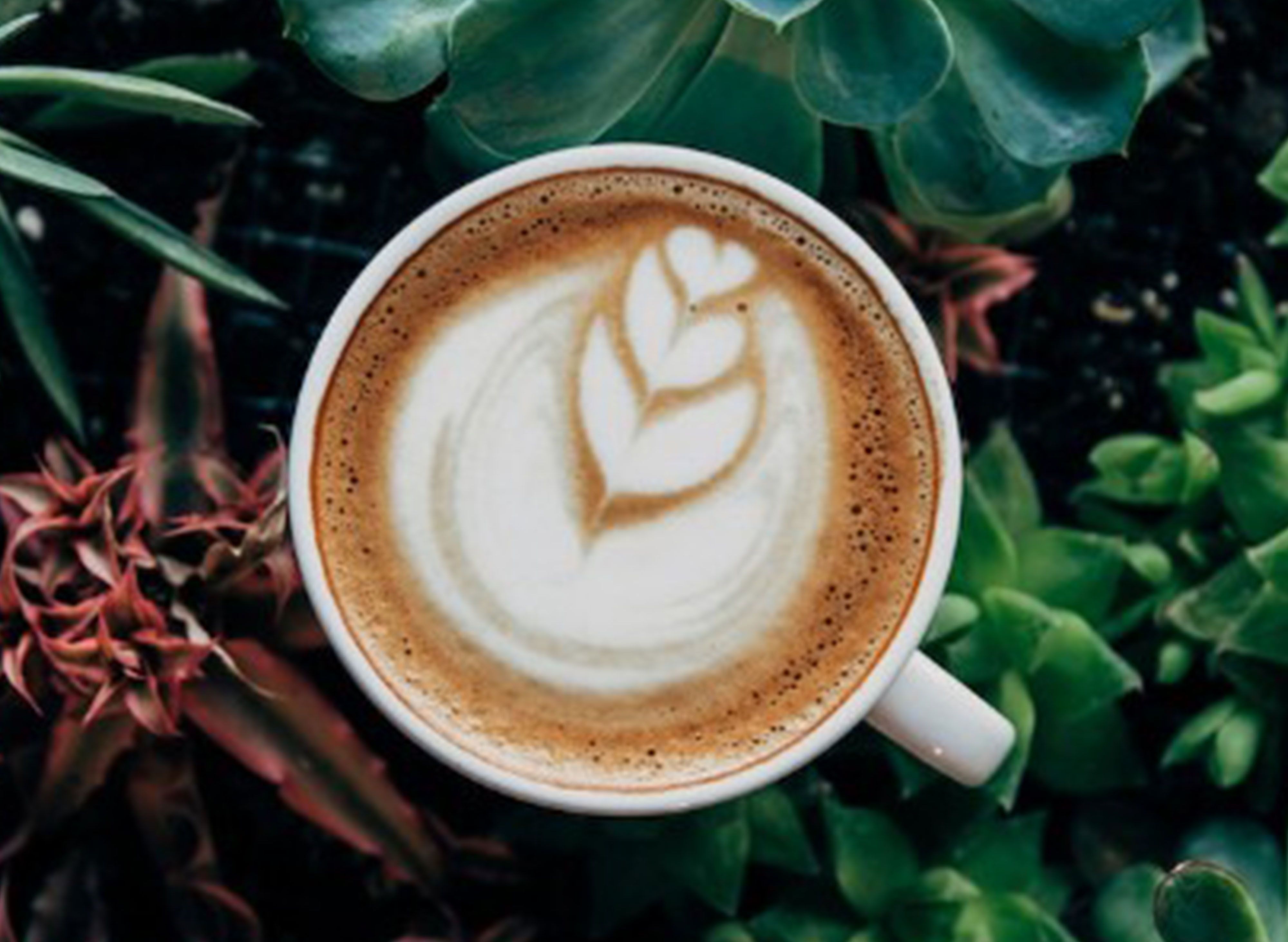 KinLove Flowers & Coffee - Pueblo de Oro vendor logo