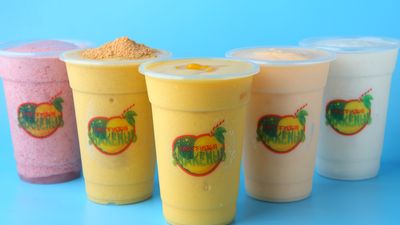 Fruitfussion Shake Hub - OPL